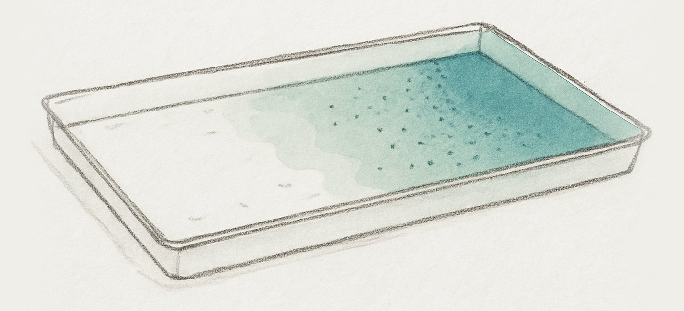 AI-generated illustration: salt water losing its conductivity as fresh water dilutes it, the brine progressively paling and thinning across a wide shallow pan.