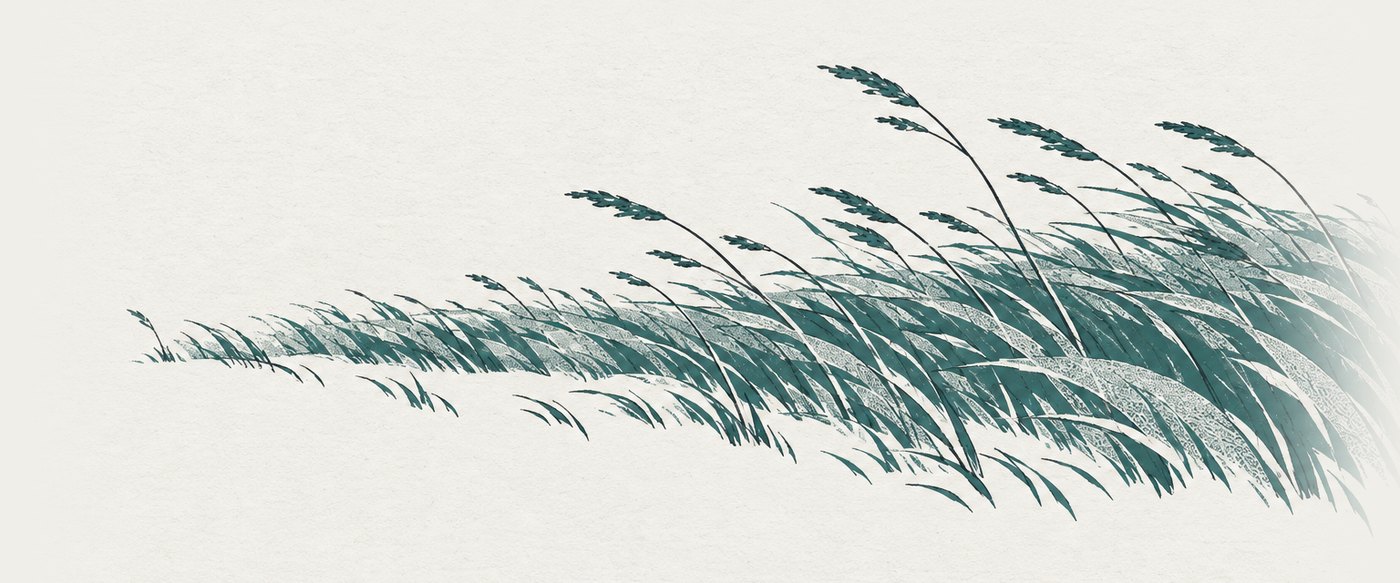 AI-generated illustration: long grass flattened all one way by wind across an open field, seen low and wide